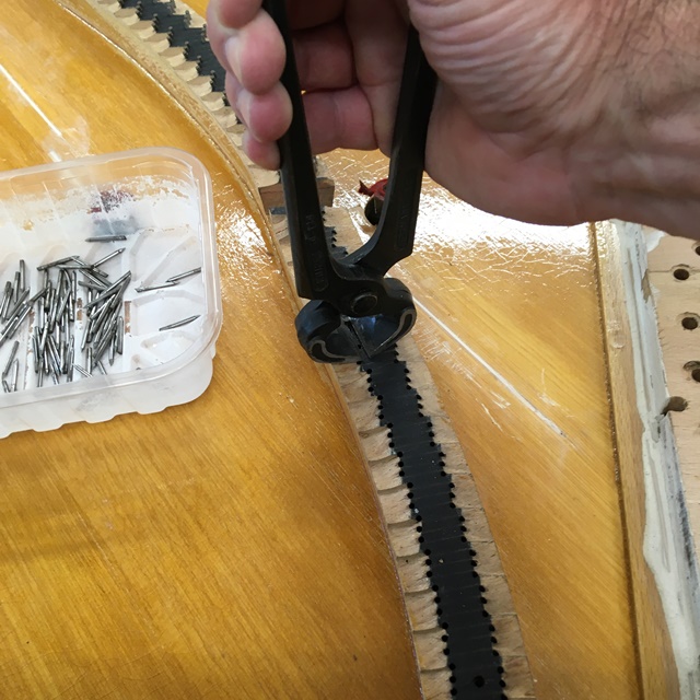 Martin Hofinger Klaviertechnik