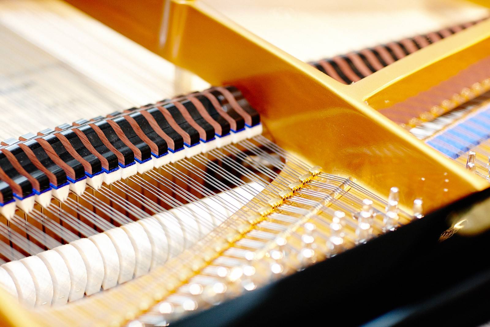 Martin Hofinger Klaviertechnik 