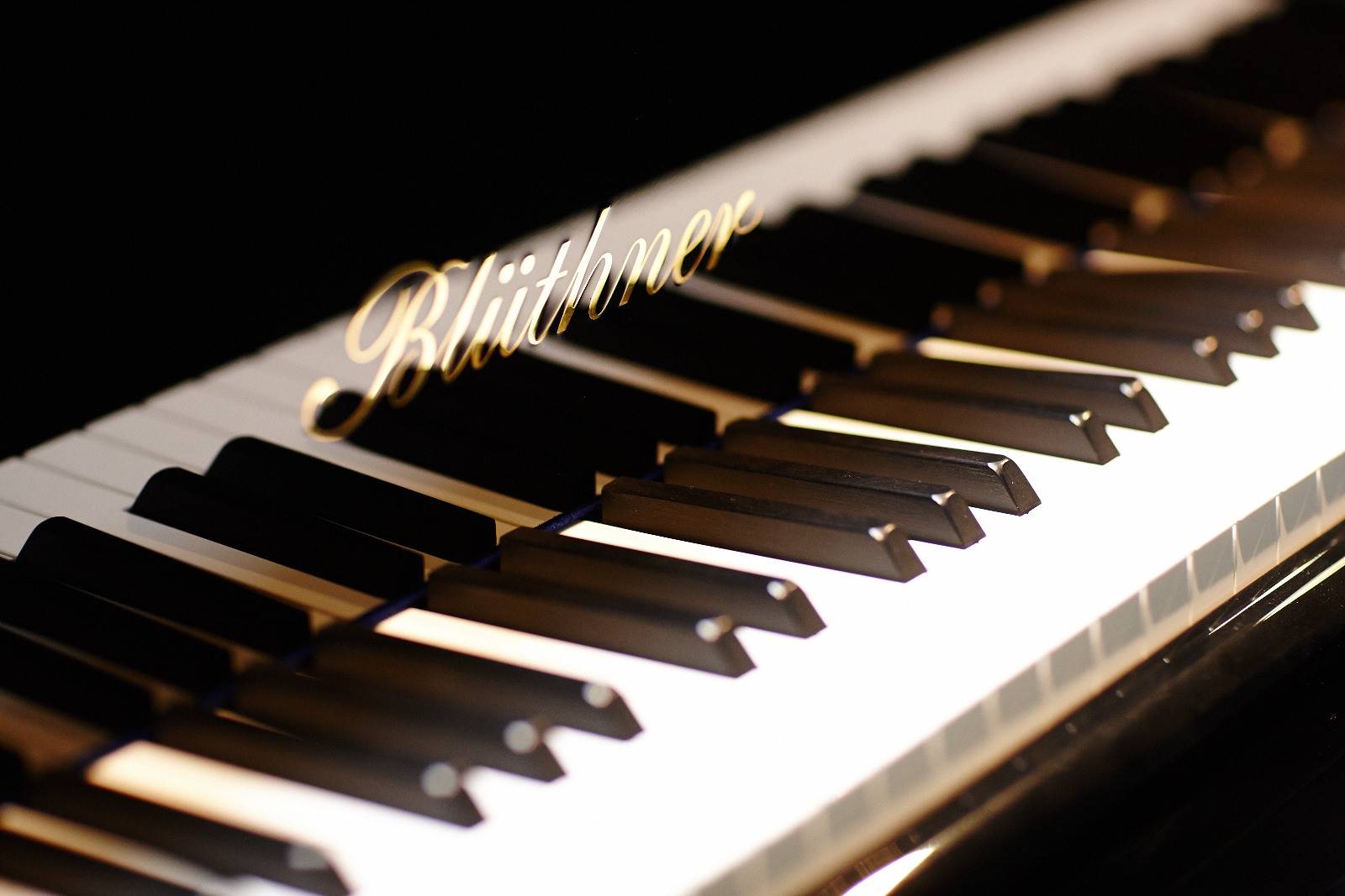 Martin Hofinger Klaviertechnik 